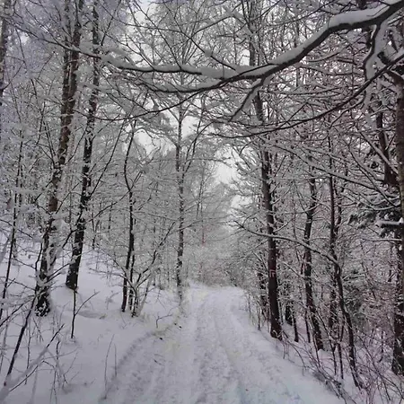 Widokowka Kudlacze Z Jacuzzi Hytte *