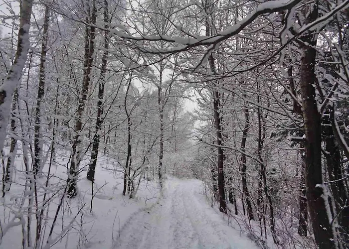 Widokowka Kudlacze Z Jacuzzi אכסניה *
